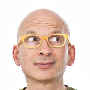 Seth Godin, Author